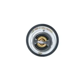 termostat-nrf-725118