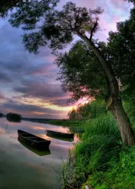 jezioro-las-plakat-70x50cm-nowoczesny-do-salonu