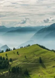 plakat-plakaty-do-ramki-seria-gory-las-50x70