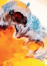 nowoczesny-plakat-plakaty-ramka-abstrakcja-50x70