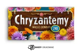baner-reklamowy-2mx1m-chryzantemy-reklama-z40