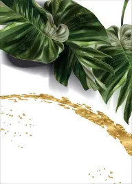 monstera-plakat-plakaty-do-ramki-b2-70x50cm