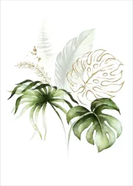 nowoczesny-plakat-plakaty-b2-70x50cm-monstera-lisc