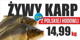 baner-reklamowy-karp-swieta-reklama-200x100cm