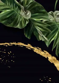 monstera-plakat-plakaty-do-ramki-b2-70x50cm