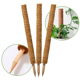 palik-kokosowy-60-cm-podpora-do-roslin-tyczka-3-szt-wlokno-kokosowe-zestaw