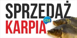 baner-reklamowy-karp-swieta-reklama-200x100cm