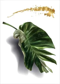 monstera-plakat-plakaty-do-ramki-b2-70x50cm