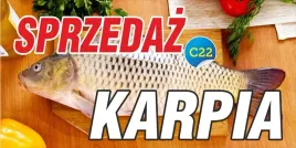 baner-reklamowy-karp-swieta-reklama-200x100cm