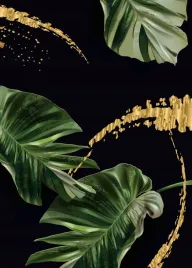 monstera-plakat-plakaty-do-ramki-b2-70x50cm