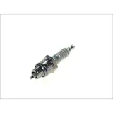 swieca-ngk-7823