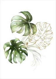 nowoczesny-plakat-plakaty-b2-70x50cm-monstera-lisc