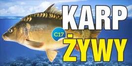 baner-reklamowy-karp-swieta-reklama-200x100cm