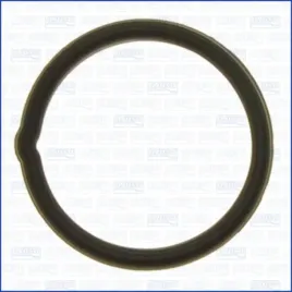 uszczelka-termostatu-ajusa-01121700
