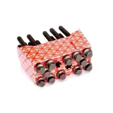 sruby-glowicy-elring-221-490