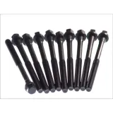 sruby-glowicy-elring-820-490