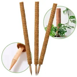 palik-kokosowy-45-cm-podpora-do-roslin-tyczka-3-szt-zestaw