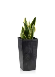 doniczka-nowoczesna-z-wkladem-donica-kwietnik-na-kwiaty-szary-beton-30-x57