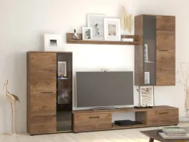 mebloscianka-kuba-dab-lefkas-meble-do-salonu