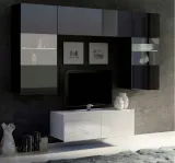 mebloscianka-modern-w-polysku-10-kolor-frontow-bialy