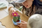 lego-botanicals-kwitnacy-kaktus