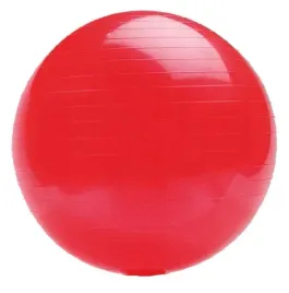 pilka-gimnastyczna-do-cwiczen-spartan-95-cm