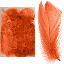 piorka-pomaranczowe-w-piora-ozdobne-dekoracyjne