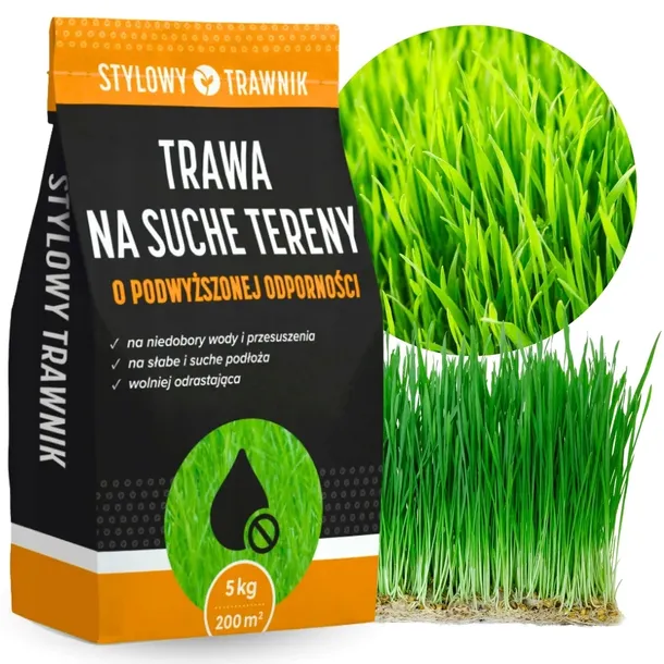 TRAWA NASIONA Na tereny suche Odporna Samozageszczająca Trawnik 5kg