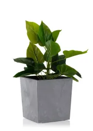 donica-szary-beton-kwadratowa-z-wkladem-doniczka-do-salonu-plastikowa-25-cm