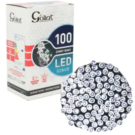 lampki-100-led-z-flash-d-gniazdo-zimny-bialy