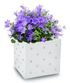 oslonka-na-doniczke-biala-ceramiczna-w-stylu-glamour-14-cm