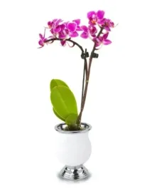 doniczka-ceramiczna-urna-na-kwiaty-21-cm-biala-dekoracyjna