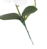 storczyk-orchidea-do-doniczki-38cm-4-glowki-stan-nowy