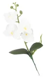 storczyk-orchidea-do-doniczki-38cm-4-glowki-stan-opakowania-oryginalne
