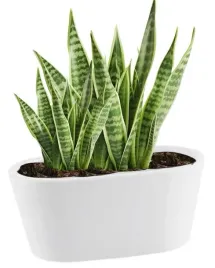 doniczka-ceramiczna-rynna-biala-dekoracyjna-17-cm-piano