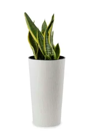 wysoka-donica-wklad-do-domu-ogrodu-taras-biala-slim-kwietnik-46cm-eko-eco