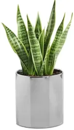 oslonka-ceramiczna-na-kwiaty-srebrna-ozdobna-walec-23-cm