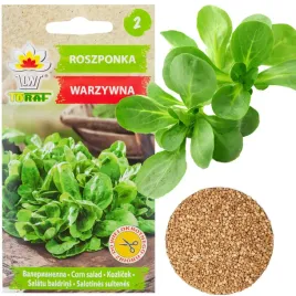 roszponka-warzywna-nasiona-roszponki-bogate-w-witaminy-salata-1g-witamina-c