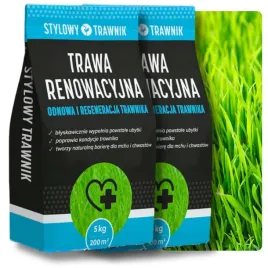 trawa-nasiona-renowacyjna-regeneracyjna-samozageszczajaca-trawnik-10kg