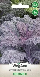 jarmuz-rednex-2g-czerwony-niski-plenny-nasiona-wegana