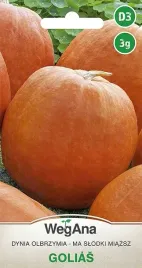 dynia-olbrzymia-golias-owoce-do-70kg-nasiona-3g-plenna-wegana