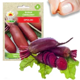 burak-nasiona-buraka-cwiklowy-podluzny-opolski-warzyw-plenny-10g