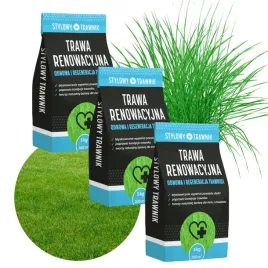 trawa-nasiona-renowacyjna-regeneracyjna-samozageszczajaca-trawnik-15kg