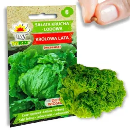 salata-krucha-nasiona-salaty-lodowa-krolowa-lata-wczesna-warzyw-1g