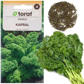 nasiona-jarmuzu-jarmuz-kapral-zielony-sredniowczesny-odporny-zdrowy-1g