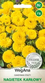 nagietek-karlowy-candyman-zolty-zloty-pastelowy-odporny-nasiona-wegana