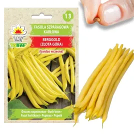 fasola-szparagowa-karlowa-zolta-berggold-b-wczesna-nasiona-fasoli-fasolki