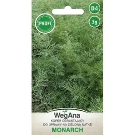 koper-ogrodowy-plenny-aromatyczny-moravan-odporny-nasiona-wegana