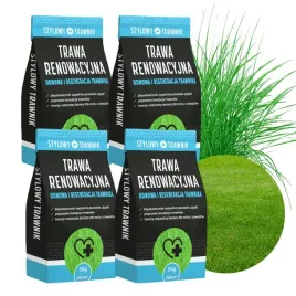trawa-nasiona-renowacyjna-regeneracyjna-samozageszczajaca-trawnik-20kg