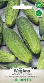 ogorek-julian-f1-4g-plenny-urodzajny-odporny-gruntowy-nasiona-wegana